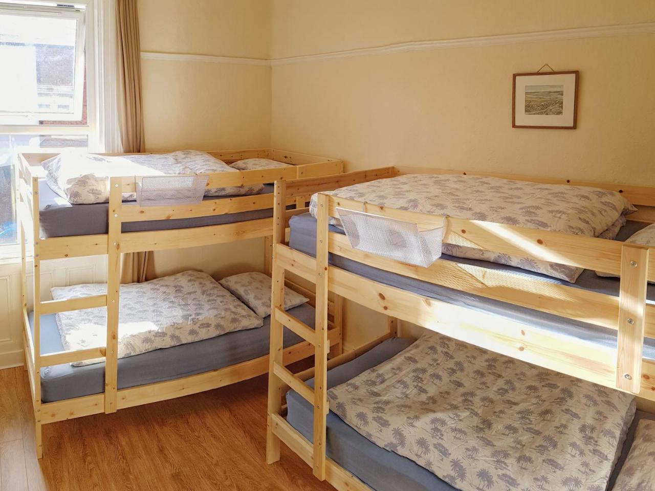 Botanical Backpackers בלפסט מראה חיצוני תמונה